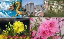 La communauté des Vietnamiens à l'étranger fête le Têt